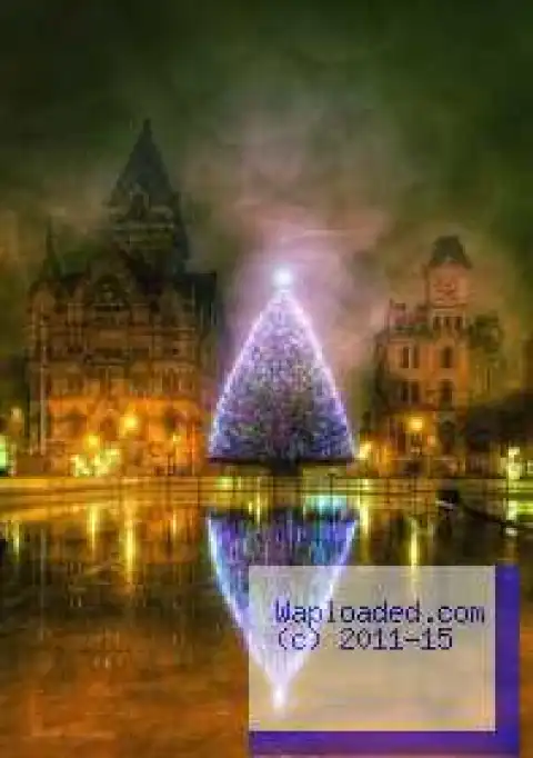 Photo of Christmas Tree in New York goes viral